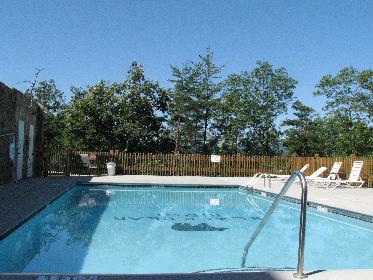 resort swimming pool in black bear ridge resort